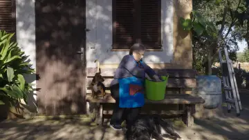 Zasłona do filmu "Ca Nostra" #1122537