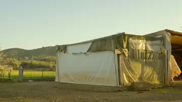 Zasłona do filmu "Ca Nostra" #1122547