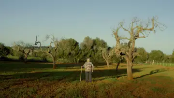 Zasłona do filmu "Ca Nostra" #1122560