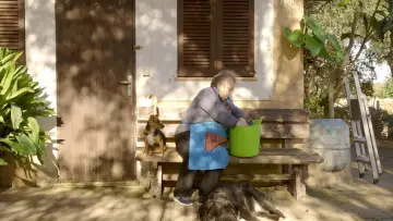 Zasłona do filmu "Ca Nostra" #1122564