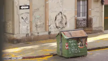 Ni siquiera las flores
