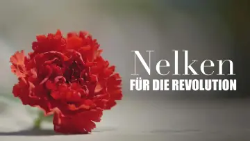 Zasłona do filmu "Nelken für die Revolution" #456360