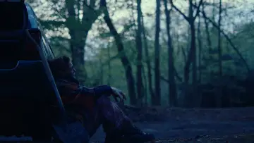 Zasłona do filmu "Restless" #723230