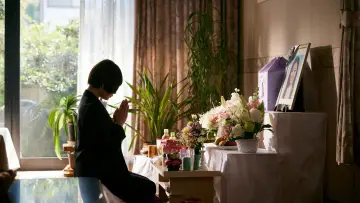 Zasłona do filmu "朽ちないサクラ" #864647