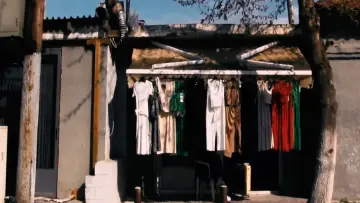 Zasłona do filmu "γέννημα θρέμμα Δεντροπόταμος" #1107530