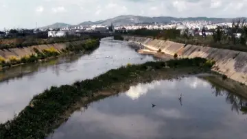 Zasłona do filmu "γέννημα θρέμμα Δεντροπόταμος" #1107531