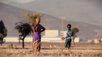Zasłona do filmu "Made in Ethiopia" #504780