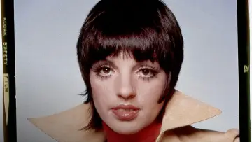 Zasłona do filmu "Liza: A Truly Terrific Absolutely True Story" #738499
