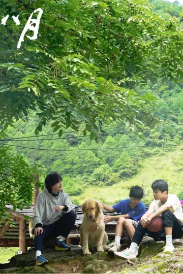 Plakat do filmu "八月" #1100446