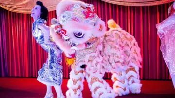 Zasłona do filmu "The Wedding Banquet" #783309
