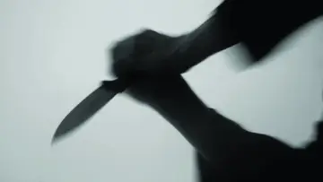 Zasłona do filmu "Bloodthirst" #1101250