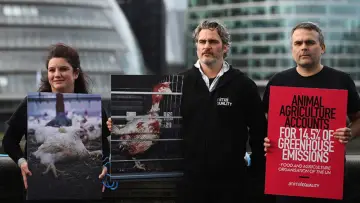 Zasłona do filmu "Joaquin Phoenix — Schauspieler der Extreme" #1101230