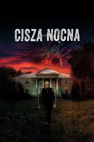 Cisza nocna