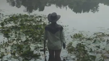 Zasłona do filmu "El vaquero" #1105620