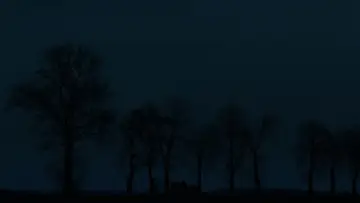 Zasłona do filmu "Brzydka siostra" #519178