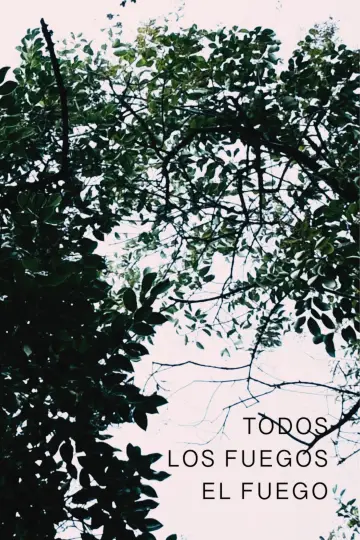 Plakat do filmu "Todos los fuegos el fuego" #468515