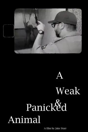 A Weak & Panicked Animal plakat