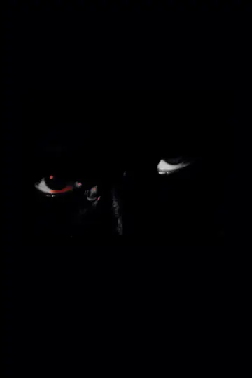 Projection plakat