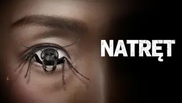 Zasłona do filmu "Natręt" #657829