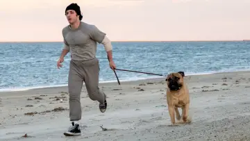 Zasłona do filmu "I Play Rocky" #1169822