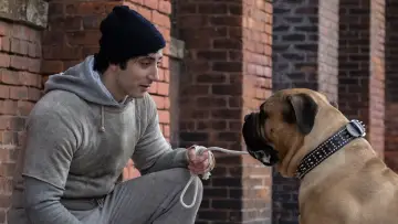 Zasłona do filmu "Jestem Rocky" #1635904