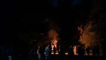 Zasłona do filmu "All is Fine in 