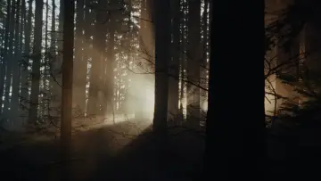 Zasłona do filmu "Bezpieczne miejsce" #514441