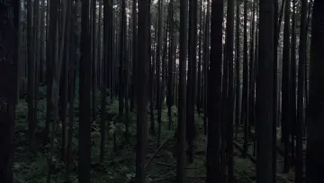 Zasłona do filmu "Bezpieczne miejsce" #514443