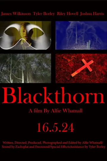 Plakat do filmu "Blackthorn" #476518