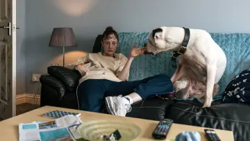Zasłona do filmu "Ważka" #692818