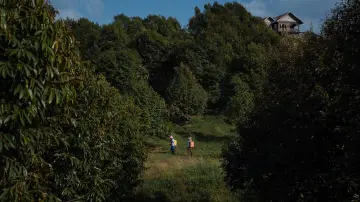 Zasłona do filmu "Ogród ciernisty" #700396