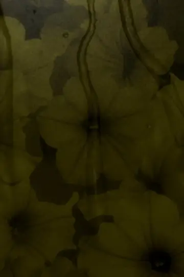 Plakat do filmu "Liquid Dreams" #478264