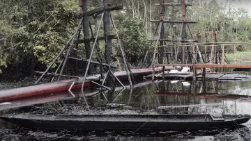 Zasłona do filmu "La cara oculta de un derrame" #1115911
