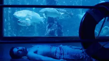 Zasłona do filmu "Labirinto dos Garotos Perdidos" #830866