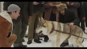 Zasłona do filmu "Jack London’s Son of the Wolf" #489062