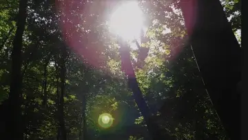 Zasłona do filmu "L