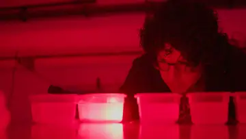 Zasłona do filmu "Sekretny taniec węgorzy" #487788