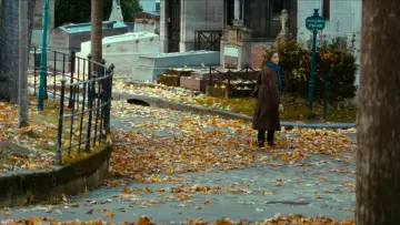 Zasłona do filmu "Ostatnia sesja w Paryżu" #910000