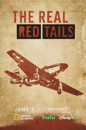 Plakat do filmu "Red Tails: historia prawdziwa" #480197