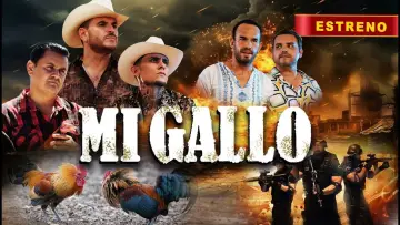 Zasłona do filmu "Mi Gallo" #1195502