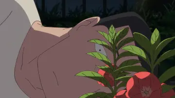 Zasłona do filmu "ホウセンカ" #534250