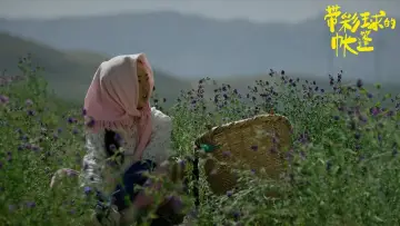 Zasłona do filmu "带彩球的帐篷" #483319