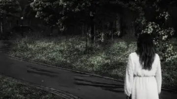 Zasłona do filmu "Nyctophobia" #1117673