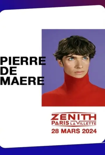 Plakat do filmu "Pierre de Maere en concert au Zénith de Paris" #504657