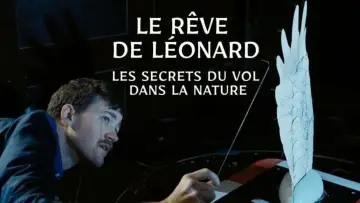 Zasłona do filmu "Le rêve de Léonard : Les secrets du vol dans la nature" #477580