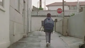 Zasłona do filmu "Campos Belos" #1166598