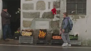 Zasłona do filmu "Campos Belos" #1166603