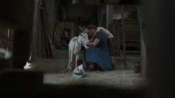 Zasłona do filmu "Węgierska krawcowa" #705198