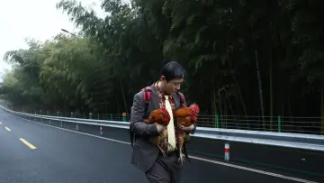 Zasłona do filmu "阳光俱乐部" #916284