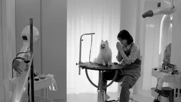 Zasłona do filmu "好狗命" #1121260